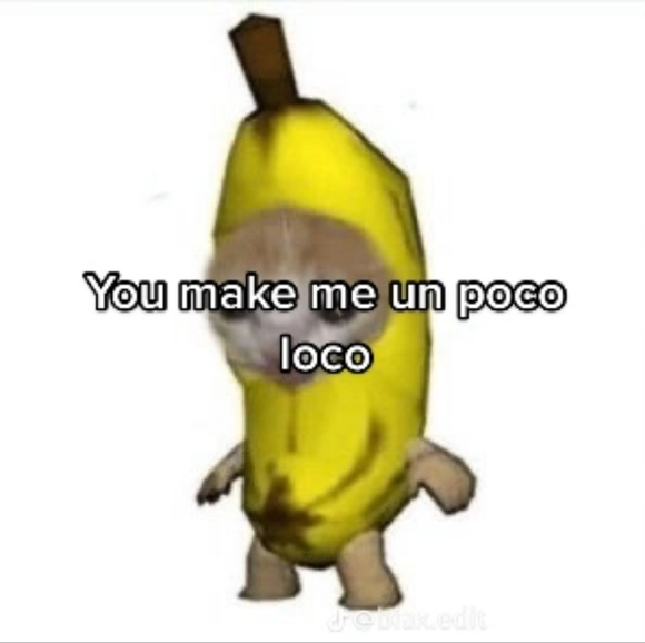Poco loco